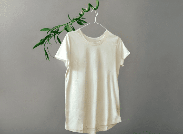 A cream-colored tshirt hanging on a bamboo leaf.